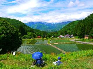 初夏　田植えも終わって。青鬼地区　白馬　長野　日本。6月中旬。 © 義美 前田