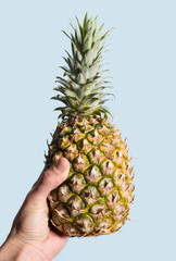 Pineapple in hand. Fashion minimal design style