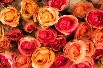 Fototapeta premium Background of mixed colorful roses plastic flower closeup.