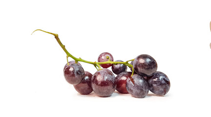 grape red  berries isolated in white background