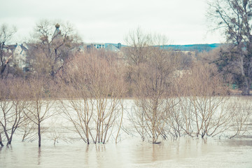 Hochwasser der Mosel in Trier