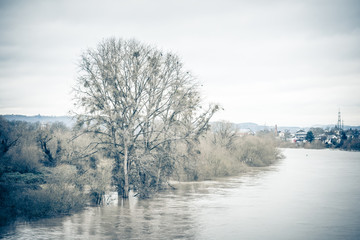 Hochwasser der Mosel in Trier