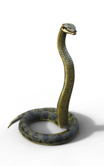 Obraz premium 3d Illustration Anaconda, Boa Constrictor The World's Biggest Venomous Snake Isolated on White Background, 3d Rendering