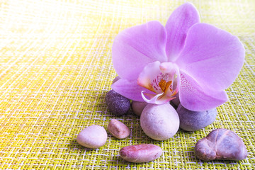 Flower purple orchids on stones in the Spa.