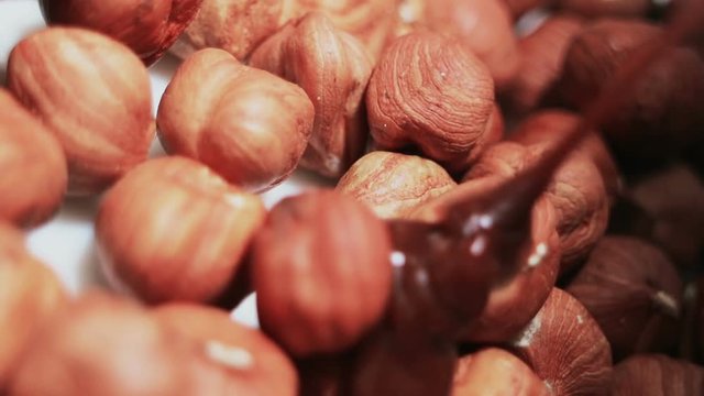 Classic milk chocolate with hazelnuts. A jet of chocolate pours nuts. Smooth rotation.