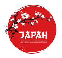 Fototapeta Sakura on red background obraz