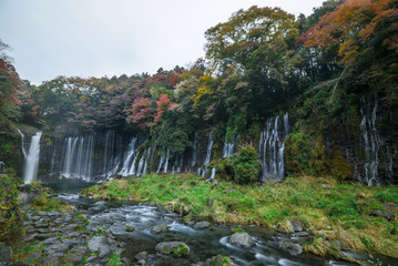 白糸の滝(静岡県富士宮市) Shiraitonotaki waterfall
