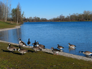 Karlsfelder See - Bayern