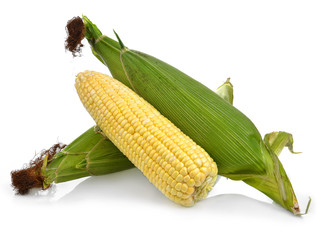 fresh corns on white background