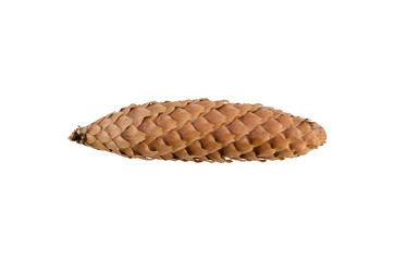 Obraz premium A cone isolated on white background.