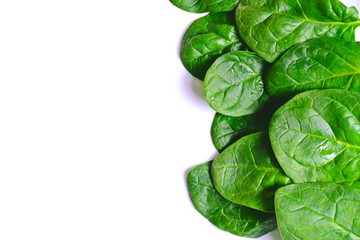 Spinach leaves isolate on white background top view