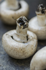 Obraz premium Closeup of fresh champignos. Autumn ingredients of traditional French cuisine. Rustic style. Vertical format