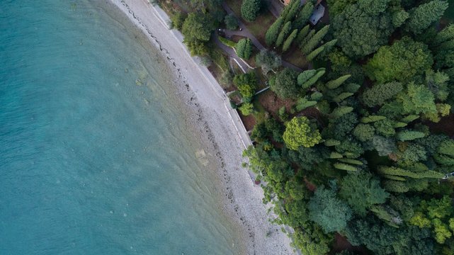 Aerial view of coastline with trees