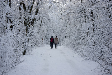 People walk in the woods in the winter. A lot of snow, fairytale nature. Boy and girl. A young couple. Lovers walk in nature.