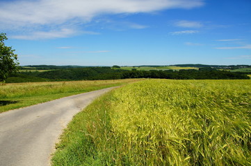 Frühlingslandschaft mit Feldweg bei Lötzbeuren im Hunsrück

