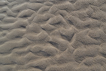 Sand Backgroud