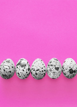 Quail's eggs on pink background 