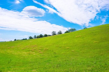 Landschaft bei Alt Rehse, Wiesen und Wald, Hügel, Mecklenburg-Vorpommern, Deutschland, Europa