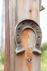 Horseshoe lucky horse