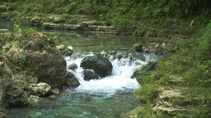 River flows through the rainforest in the jungle. Tropical river, jungle. Tropical Rainforest Landscape.