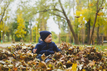 Little cute child baby boy walk in fall park, sitting in pile of leaves, toss throw up dry yellow autumn leaves. Small kid son rest. Parenthood, family day 15 of may, love, parents, children concept.