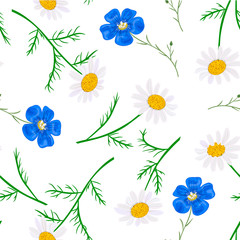 Daisy and forget-me-not. seamless pattern Vector flowers set. floral collection