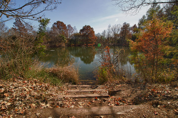 The Autumn Lake