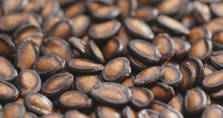 Black Melon Seeds