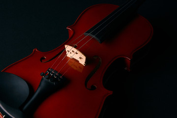 Fototapeta na wymiar Classical brown violin