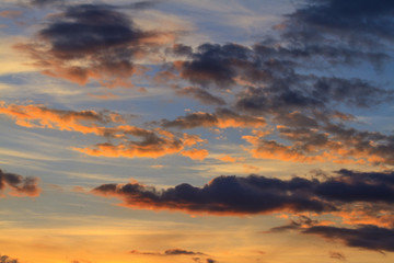 spring mood and evening sky