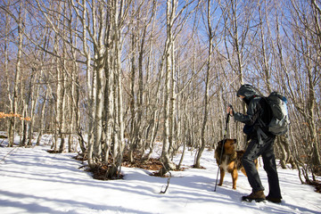 hiker walking with his dog  in a beech forest in winter