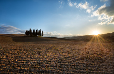 Obraz premium Typical landscape of Tuscany. A cypress avenue leading to a farm in the Val D'Orcia.