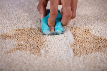 Janitor Cleaning Stain On Carpet