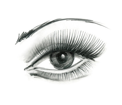 Mysteriously beautiful woman's eye with delicately curved eyelashes and an eyebrow. Graphic drawing with slate pencil. Isolated on white background.