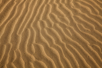 Fototapeta na wymiar Desert sand background. Texture of strips in the sand from the wind dune in the desert. 