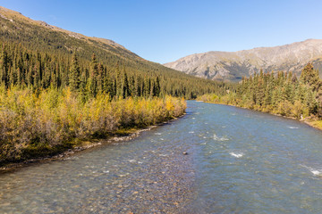 Fototapeta na wymiar Scenic Sanctuary River Denali National Park Alaska