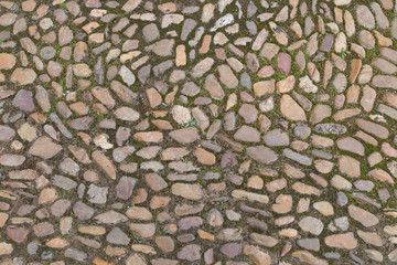 Ancient Roman Stone Pathway