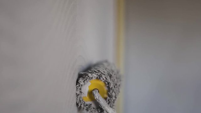 Painting out a bare wall with a paint roller with gray paint. Hand painting using paint roller. Painter girl at work, with roller painting wall, painter house concept
