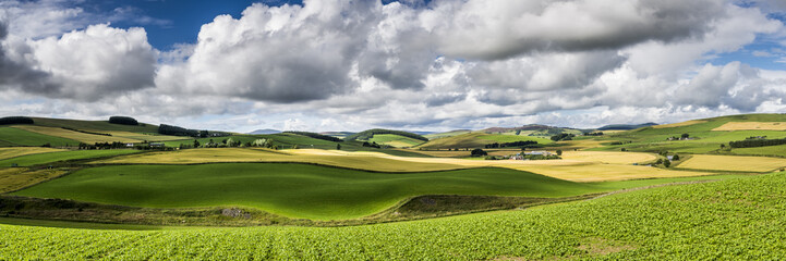 Fototapeta na wymiar Cairngorms panorama