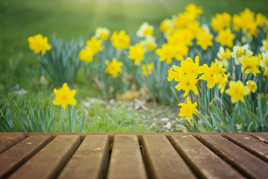 Garden with spring flowers and wooden deck