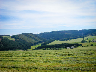 Sommer im Sauerland