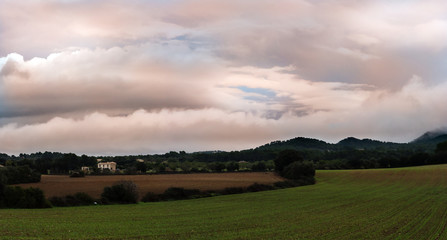 Fototapeta na wymiar Green fields and clouds. Mallorcan house