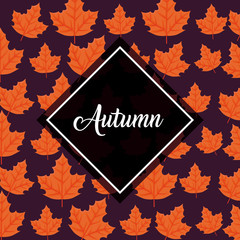 autumn season design