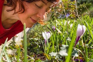 Photo sur Plexiglas Crocus Woman smelling white crosus on grass