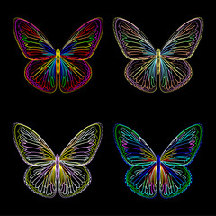 Fototapeta na wymiar Butterfly neon, vintage decorative element, insect. Vector illustration.