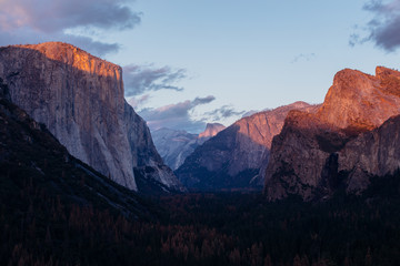 Yosemite Valley Apline Glow