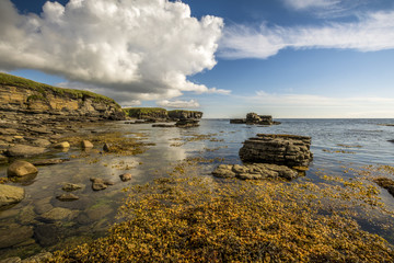 Keiss cliffs © photonik87