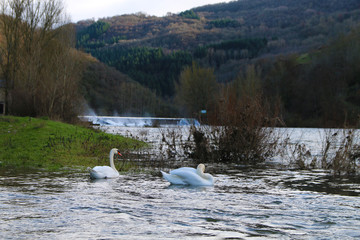AVEYRON