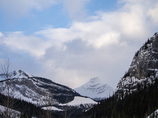 Jasper National Park in WInter