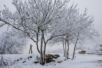 Fototapeta na wymiar Winter landscape in Pyatigorsk city at january